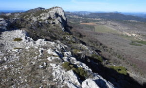 baume_03