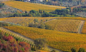 diapo_gaillac_rabastens_11