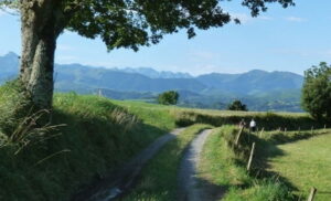 lourdes_02