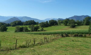 lourdes_04