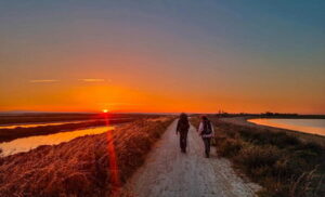 Premiere etape du chemin sur les pas de Marie MAdeleine. Etape Sainte-Maries-de-la-Mer / Salin de Giraud.  (Premiere etape du chemin sur les pas de Marie MAdeleine. Etape Sainte-Maries-de-la-Mer / Salin de Giraud. , ASCII, 109 components, 109 byte