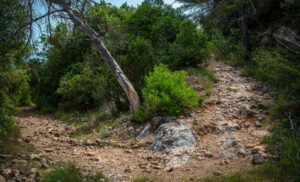 Chemin etape Sainte-Baume / Nans les pins.