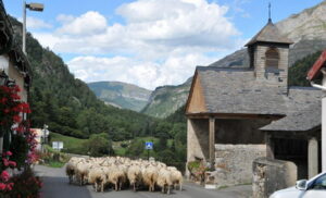 ossau_07