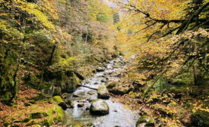 ossau_12