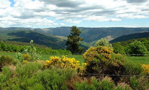regordane_20